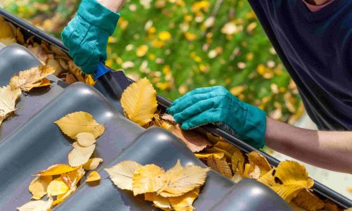 Home-Insurance-Cleaning-Gutters-scaled